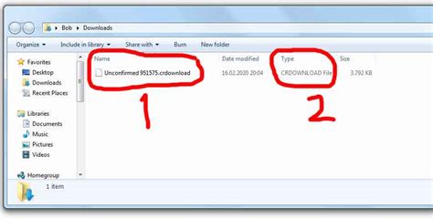 Do not check any other file for removal unless you are 100 sure you want to. . Unconfirmed crdownload